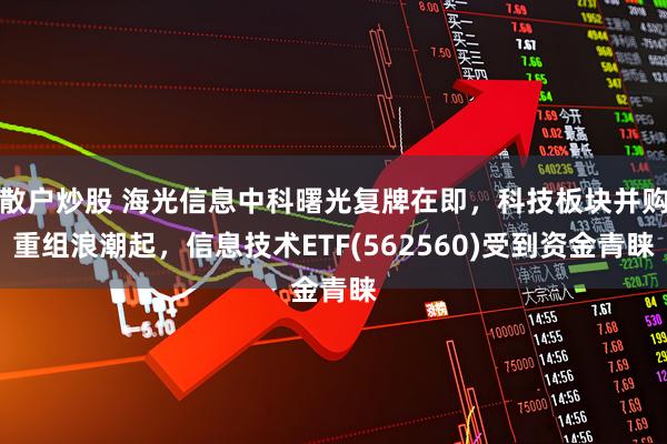 散户炒股 海光信息中科曙光复牌在即，科技板块并购重组浪潮起，信息技术ETF(562560)受到资金青睐