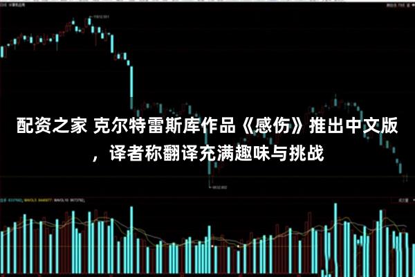 配资之家 克尔特雷斯库作品《感伤》推出中文版，译者称翻译充满趣味与挑战